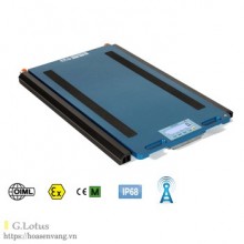 WWSDRF bàn cân xe tải xách tay không dây