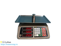 Cân điện tử tính tiền ZP-2032C hoàn hảo cho cửa hàng