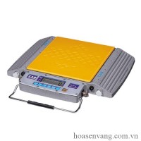 Cân xe tải xách tay RW–5S