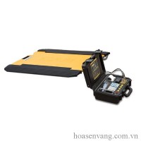 Cân xe tải xách tay RW – PL