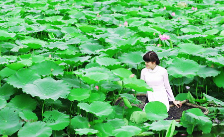 ve-dep-diu-dang-trong-bo-ao-dai-truyen-thong-hoasenvang.jpg