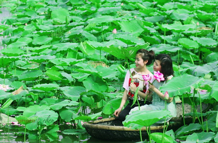 cung-dua-nghich-tao-dangnbspduoi-ong-kinh-hoasenvang.jpg