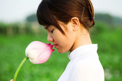 Mùa sen sắc nước hương trời Việt hội tụ
