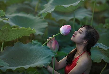 thieu-nu-va-mua-sen-no-het-xinh-dep-hoasenvang.com.vn.jpg