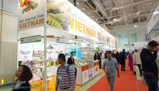 hang viet nam chat luong cao 2015 3