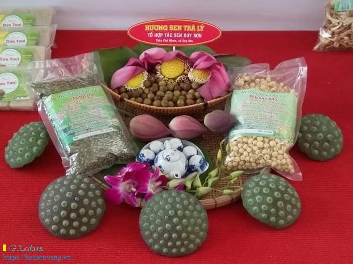 Ve tra ly ngam hoa sen dam sen 12