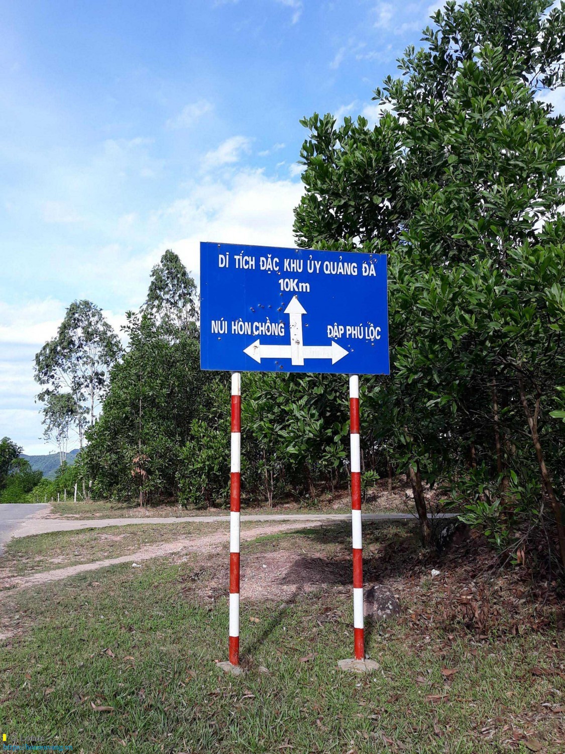 Ve tra ly ngam hoa sen dam sen 3