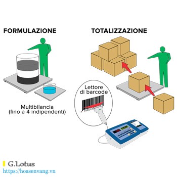 AF01 software 3590e cpwe totalization formula weighing hoasenvang vn
