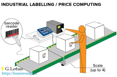 AF05 software 3590 cpwe totalization formula weighing dau can dien tu hoasenvang vn