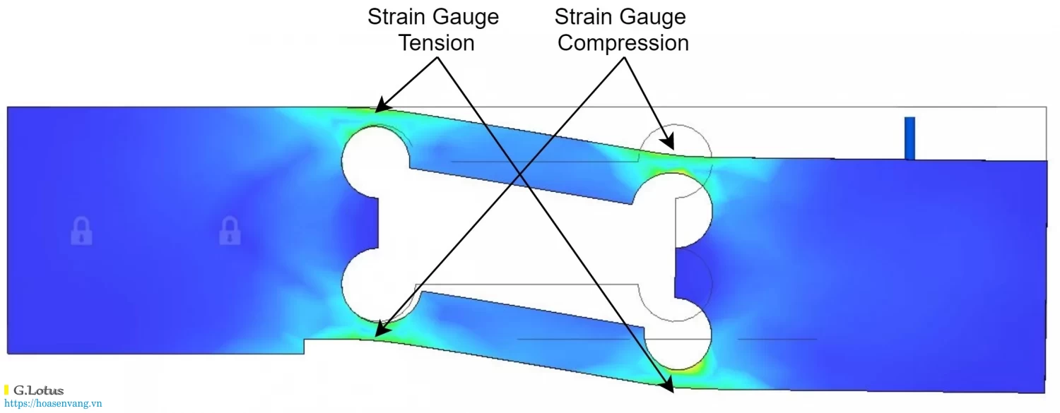 Cam bien tai trong la gi load cell strain gages h4
