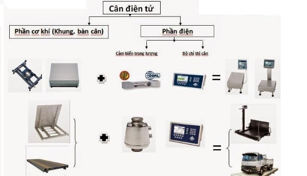 Khám phá cấu tạo và nguyên lý hoạt động của cân điện tử