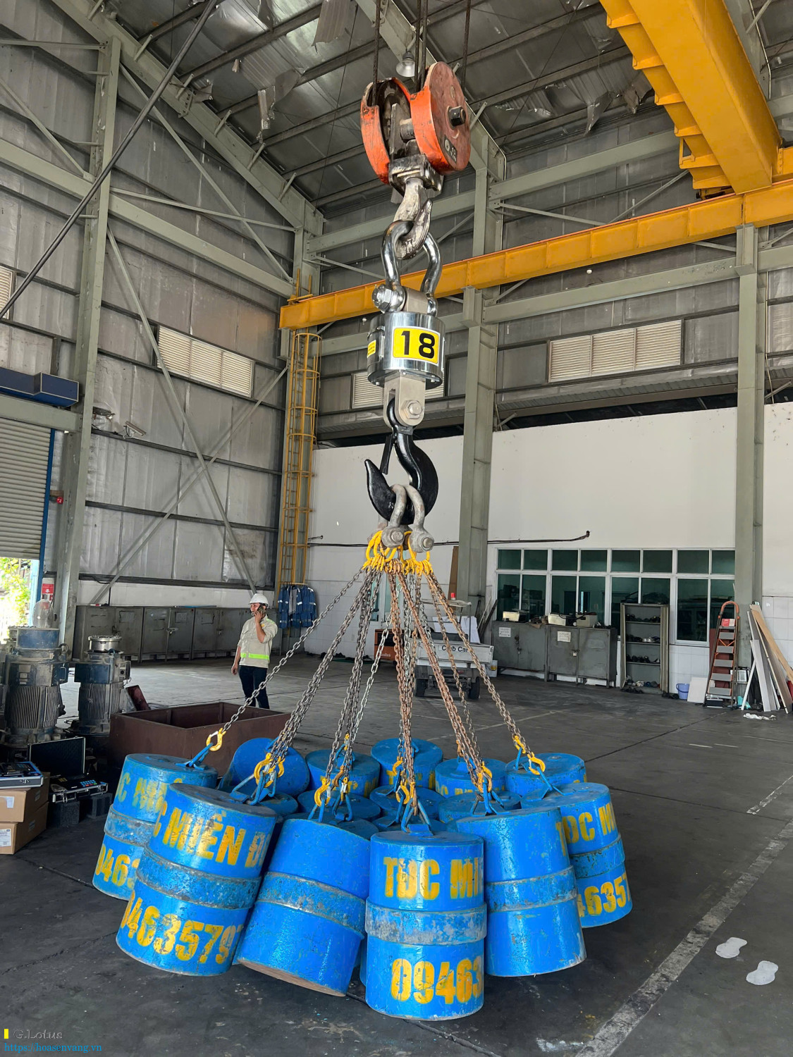 Can treo dien tu OCS 50 tan Hoa sen vang test weight 2025 2