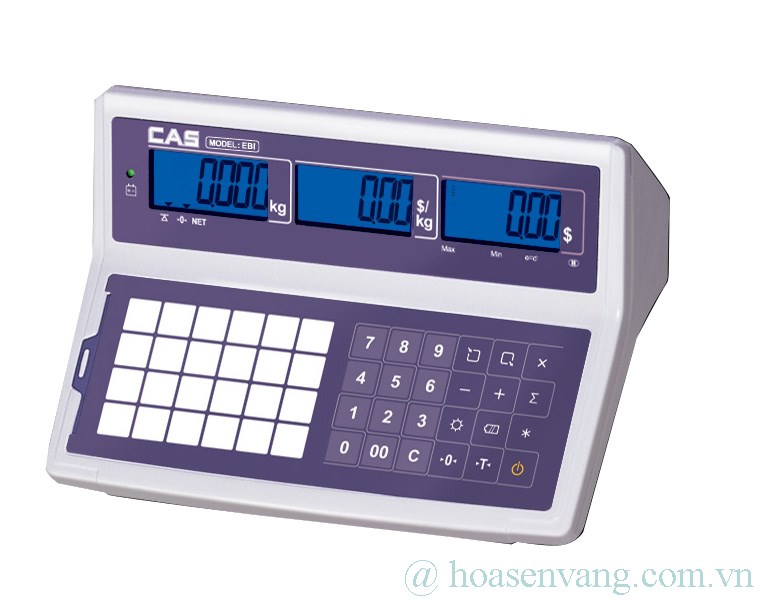 Đầu cân tính giá EBI - CAS
