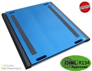 WWSF cân xe tải xách tay trục bánh cỡ lớn