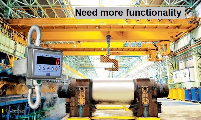 hoasenvang can treo diniargeo crane scales 2