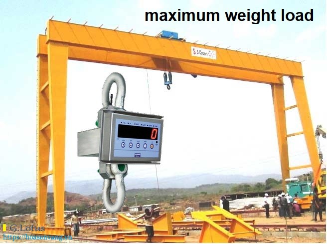 hoasenvang can treo diniargeo crane scales gantry 2