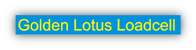 load-cell-hoasenvang.png