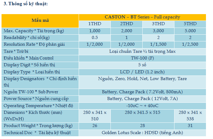 caston-bt cân treo wireless không dây