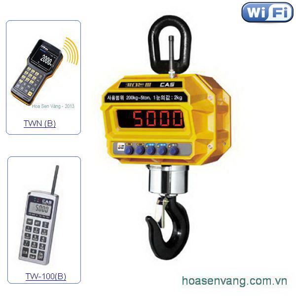 Cân treo wireless công nghiệp không dây CASTON III