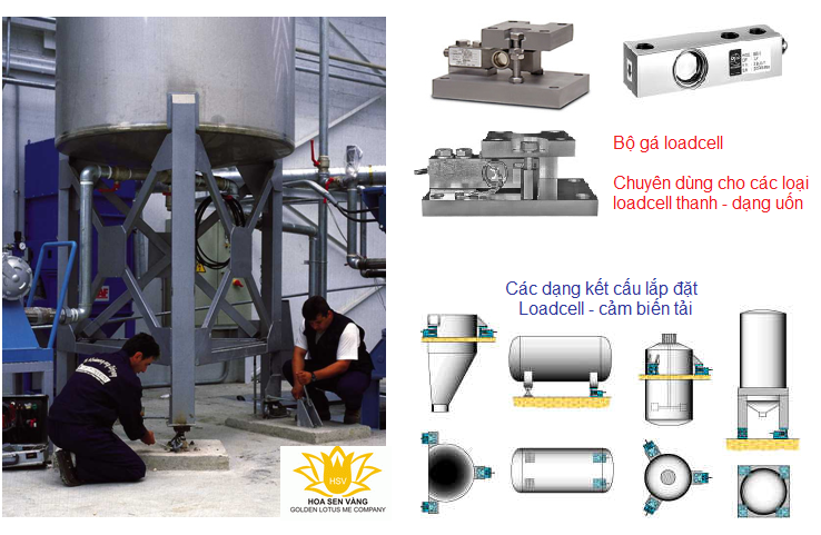 can-bon-ung-dung-hoa-sen-vang-golden-lotus-me-system-scale.jpg