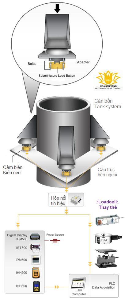 can-bon-ung-dung-hoa-sen-vang-golden-lotus-me-system-scale.jpg