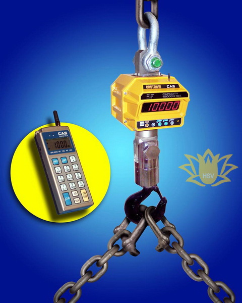 Tiêu chí nào để lựa chọn cân treo công nghiệp