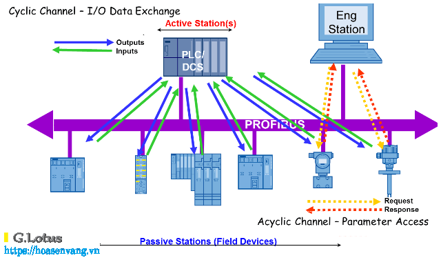 Profibus Work can dien tu hoa sen vang 2