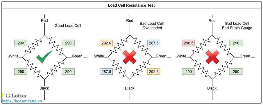 Cam bien tai Load cells strain gage test hoasenvang