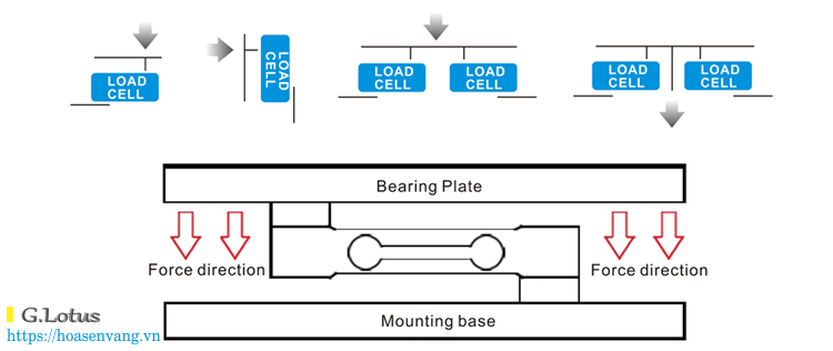 Cam bien tai trong diem don loadcell hoasenvang com vn 3